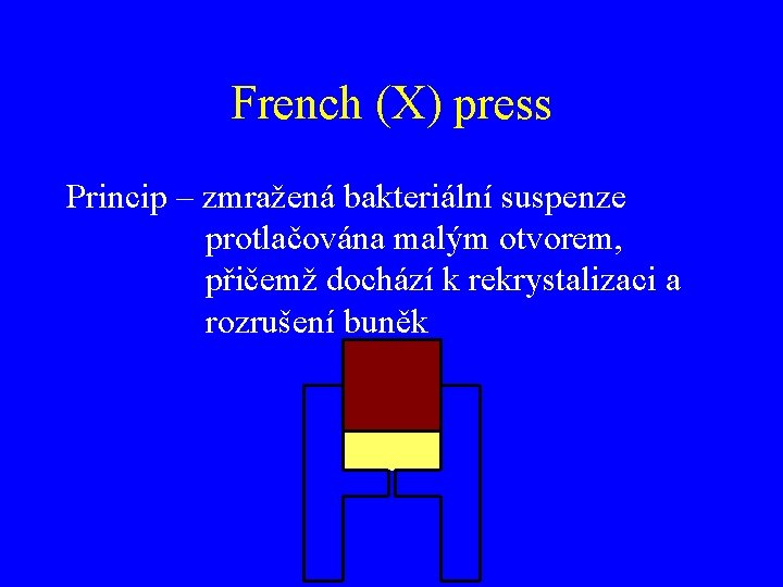 French (X) press Princip – zmražená bakteriální suspenze protlačována malým otvorem, přičemž dochází k