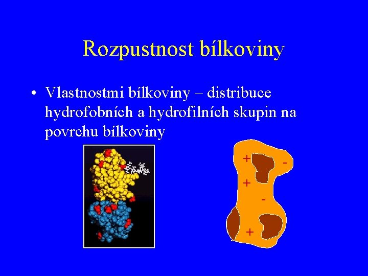 Rozpustnost bílkoviny • Vlastnostmi bílkoviny – distribuce hydrofobních a hydrofilních skupin na povrchu bílkoviny