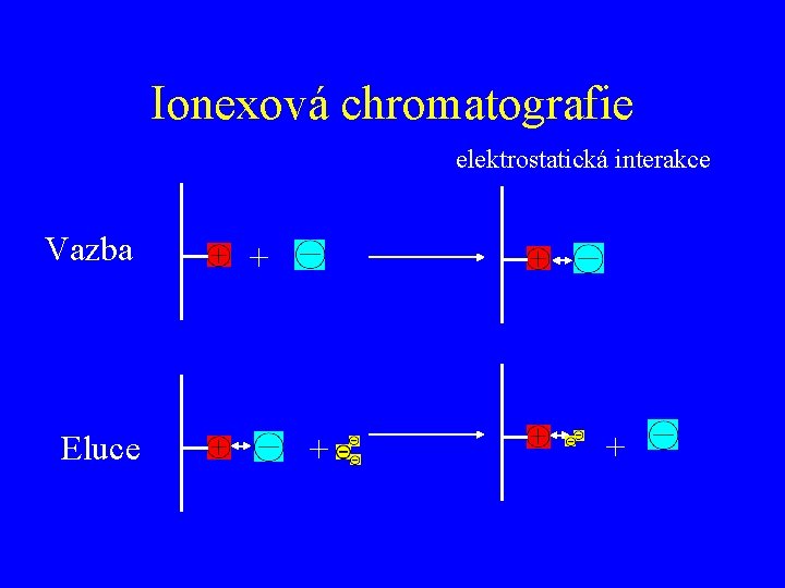 Ionexová chromatografie elektrostatická interakce Vazba Eluce + + + 