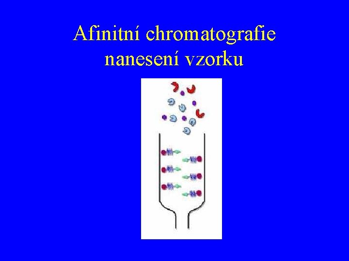 Afinitní chromatografie nanesení vzorku 