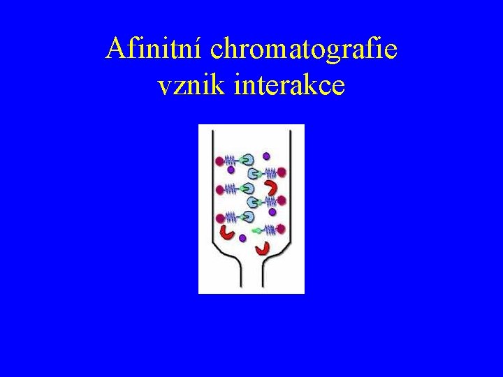 Afinitní chromatografie vznik interakce 