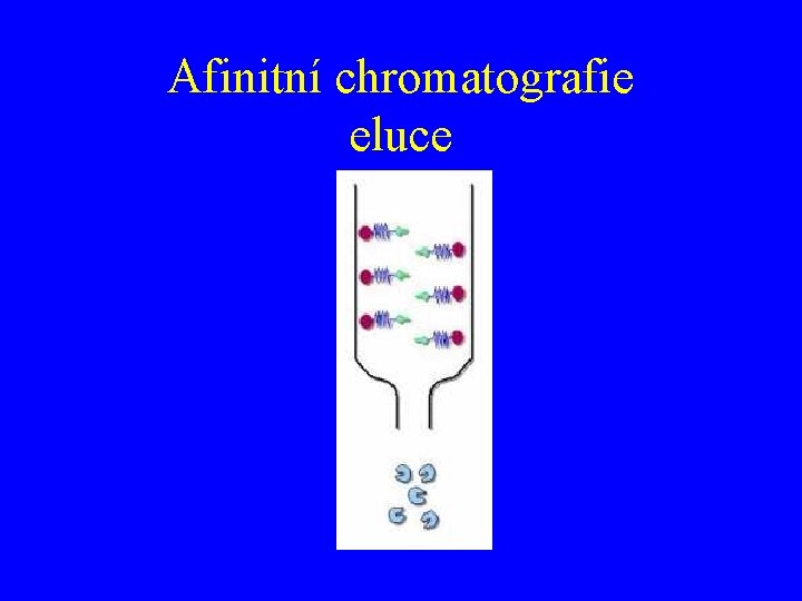 Afinitní chromatografie eluce 