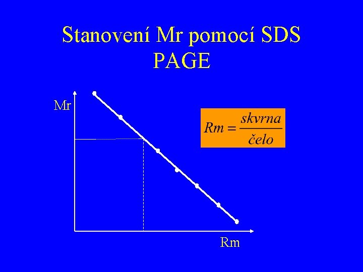 Stanovení Mr pomocí SDS PAGE Mr Rm 