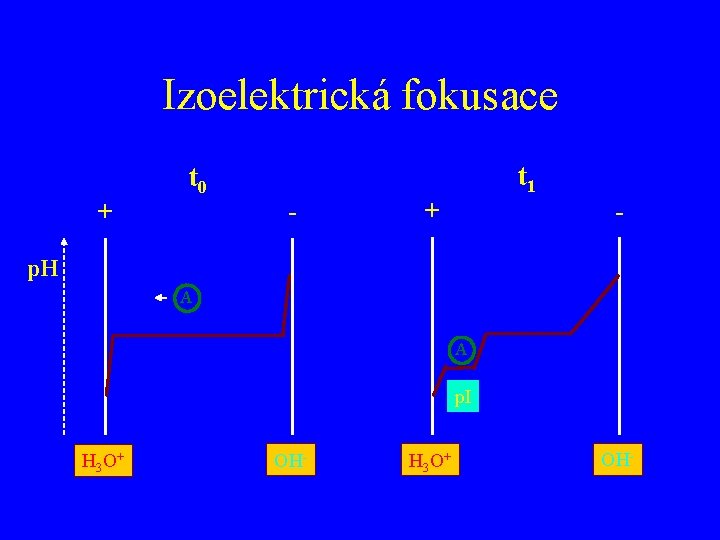 Izoelektrická fokusace t 1 t 0 - + p. H A A p. I