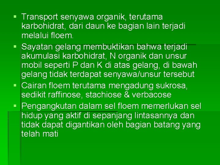 § Transport senyawa organik, terutama karbohidrat, dari daun ke bagian lain terjadi melalui floem. § Transport senyawa organik, terutama karbohidrat, dari daun ke bagian lain terjadi melalui floem.