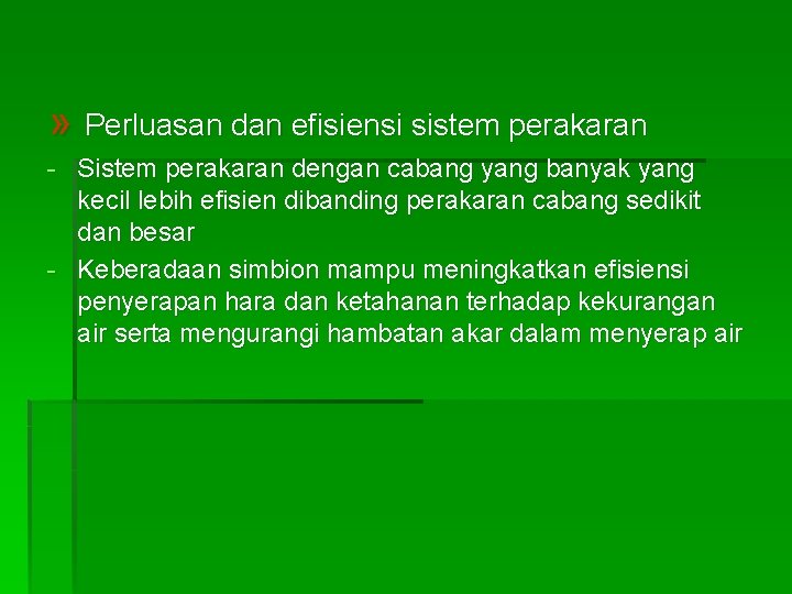 » Perluasan dan efisiensi sistem perakaran - Sistem perakaran dengan cabang yang banyak yang