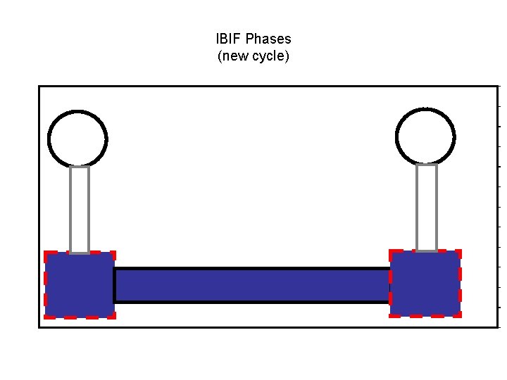 IBIF Phases (new cycle) IBIF Phases (new cycle)