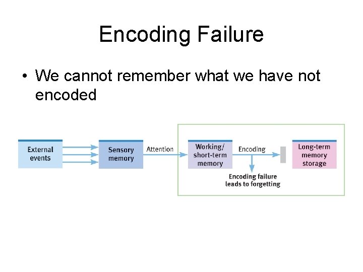 Encoding Failure • We cannot remember what we have not encoded 