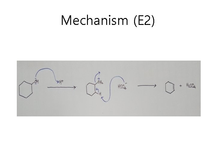 Mechanism (E 2) 