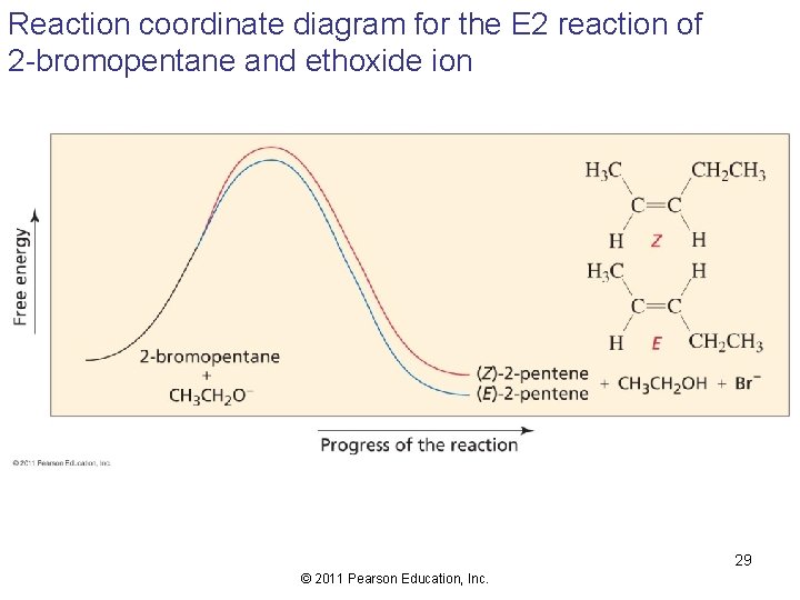 Reaction coordinate diagram for the E 2 reaction of 2 -bromopentane and ethoxide ion