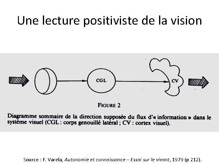 Une lecture positiviste de la vision Source : F. Varela, Autonomie et connaissance –