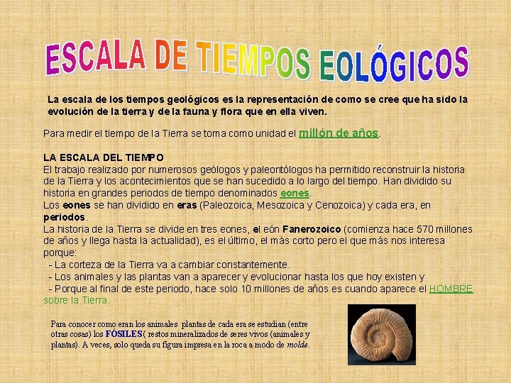 La escala de los tiempos geológicos es la representación de como se cree que