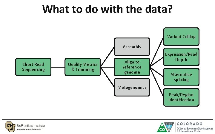 What to do with the data? Variant Calling Assembly Short Read Sequencing Quality Metrics