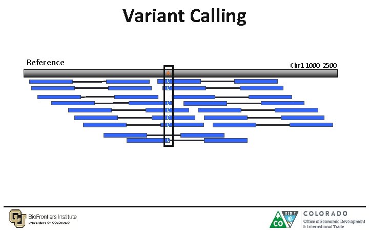 Variant Calling Reference A C C C Chr 1 1000 -2500 