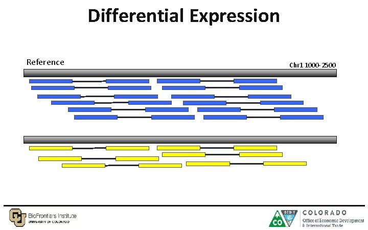 Differential Expression Reference Chr 1 1000 -2500 