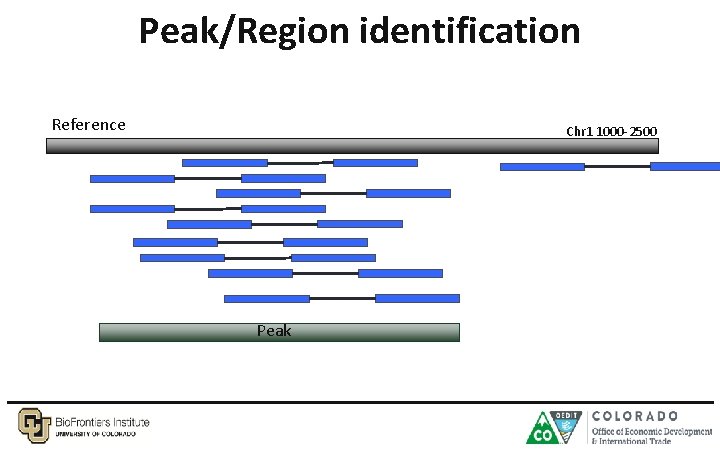 Peak/Region identification Reference Chr 1 1000 -2500 Peak 