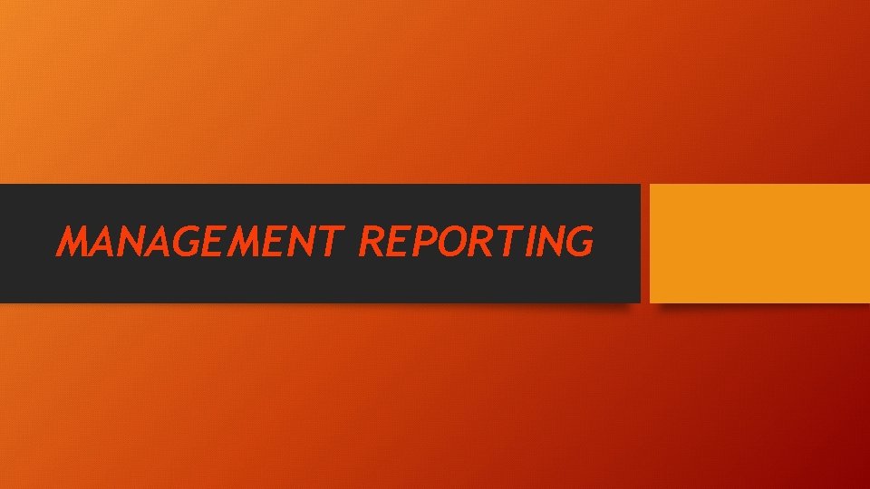 MANAGEMENT REPORTING 
