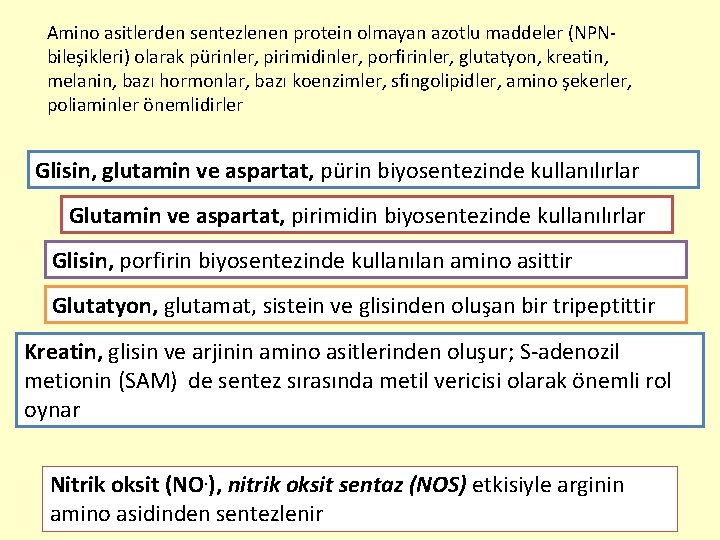 Amino asitlerden sentezlenen protein olmayan azotlu maddeler (NPNbileşikleri) olarak pürinler, pirimidinler, porfirinler, glutatyon, kreatin,