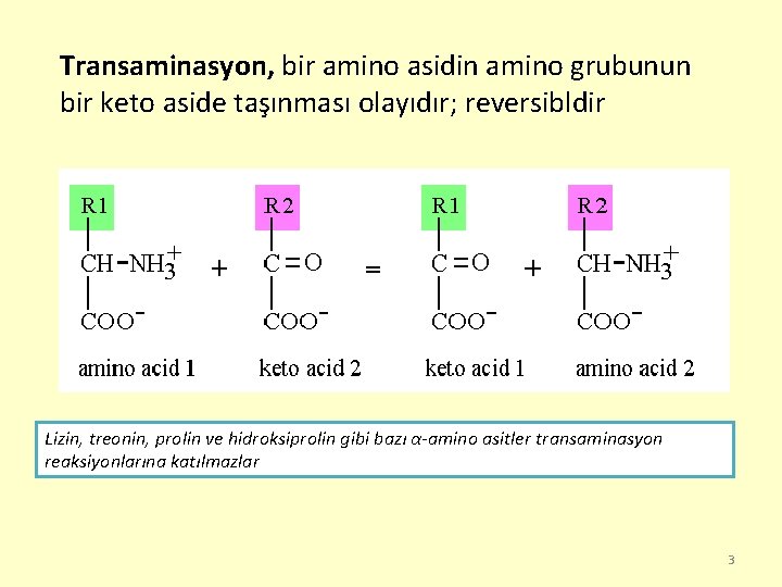 Transaminasyon, bir amino asidin amino grubunun bir keto aside taşınması olayıdır; reversibldir Lizin, treonin,