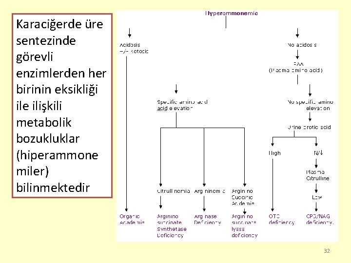 Karaciğerde üre sentezinde görevli enzimlerden her birinin eksikliği ile ilişkili metabolik bozukluklar (hiperammone miler)