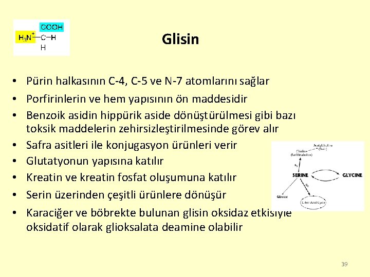 Glisin • Pürin halkasının C-4, C-5 ve N-7 atomlarını sağlar • Porfirinlerin ve hem