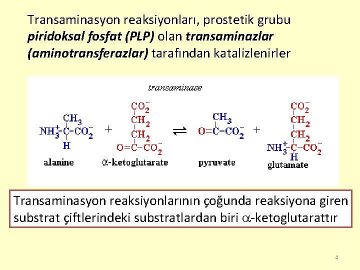 Transaminasyon reaksiyonları, prostetik grubu piridoksal fosfat (PLP) olan transaminazlar (aminotransferazlar) tarafından katalizlenirler Transaminasyon reaksiyonlarının