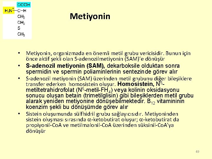 Metiyonin • Metiyonin, organizmada en önemli metil grubu vericisidir. Bunun için önce aktif şekli
