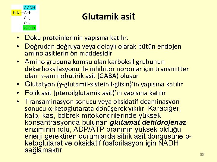 Glutamik asit • Doku proteinlerinin yapısına katılır. • Doğrudan doğruya veya dolaylı olarak bütün