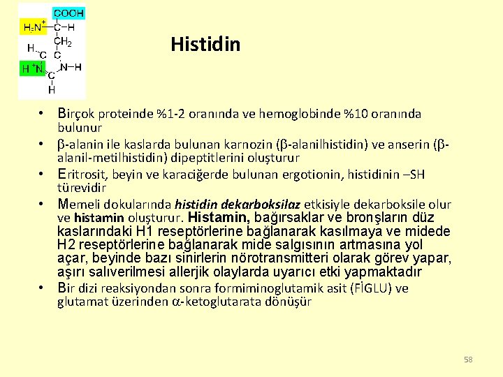 Histidin • Birçok proteinde %1 -2 oranında ve hemoglobinde %10 oranında bulunur • -alanin