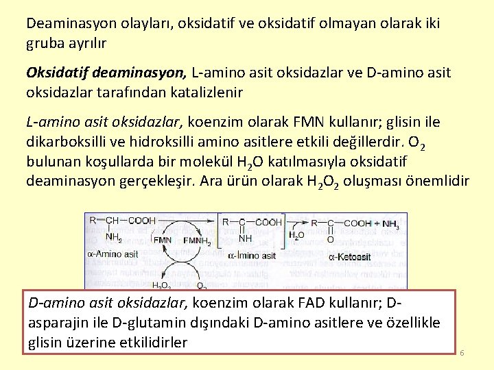 Deaminasyon olayları, oksidatif ve oksidatif olmayan olarak iki gruba ayrılır Oksidatif deaminasyon, L-amino asit