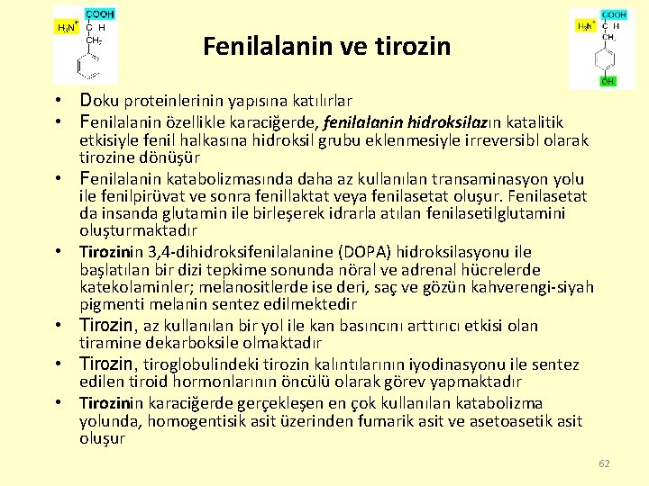 Fenilalanin ve tirozin • Doku proteinlerinin yapısına katılırlar • Fenilalanin özellikle karaciğerde, fenilalanin hidroksilazın