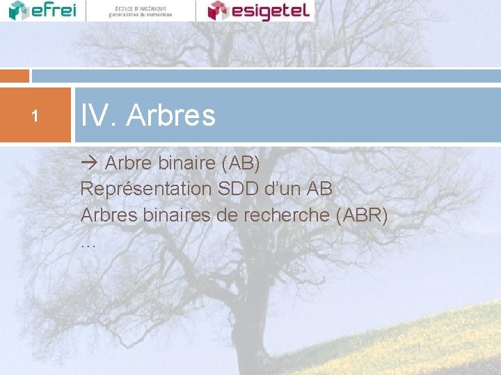 1 IV. Arbres Arbre binaire (AB) Représentation SDD d’un AB Arbres binaires de recherche
