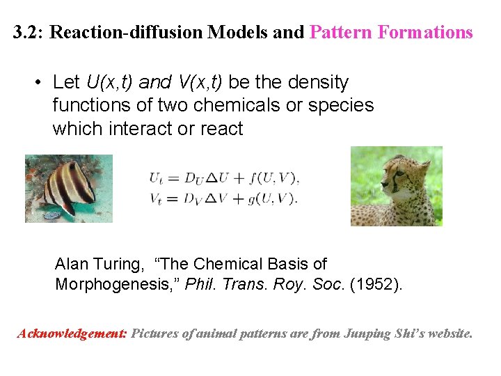 3. 2: Reaction-diffusion Models and Pattern Formations • Let U(x, t) and V(x, t) 3. 2: Reaction-diffusion Models and Pattern Formations • Let U(x, t) and V(x, t)