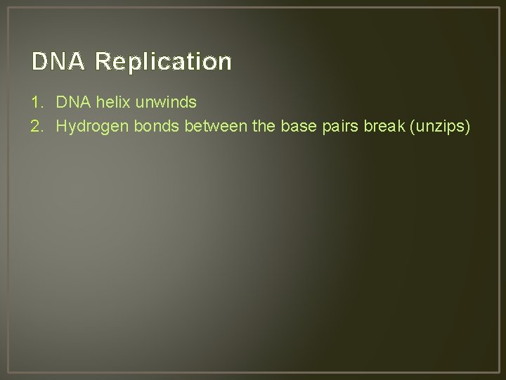 DNA Replication 1. DNA helix unwinds 2. Hydrogen bonds between the base pairs break