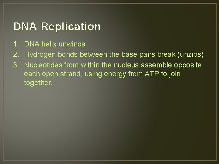 DNA Replication 1. DNA helix unwinds 2. Hydrogen bonds between the base pairs break