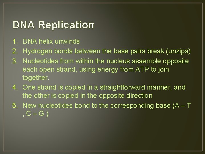 DNA Replication 1. DNA helix unwinds 2. Hydrogen bonds between the base pairs break