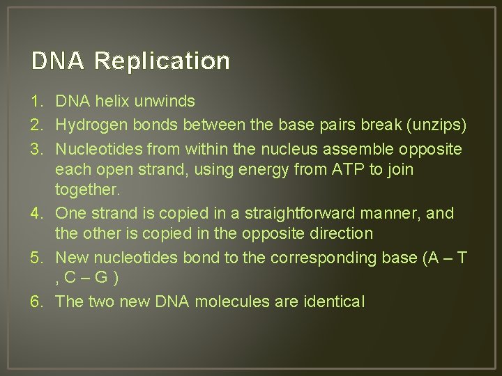 DNA Replication 1. DNA helix unwinds 2. Hydrogen bonds between the base pairs break