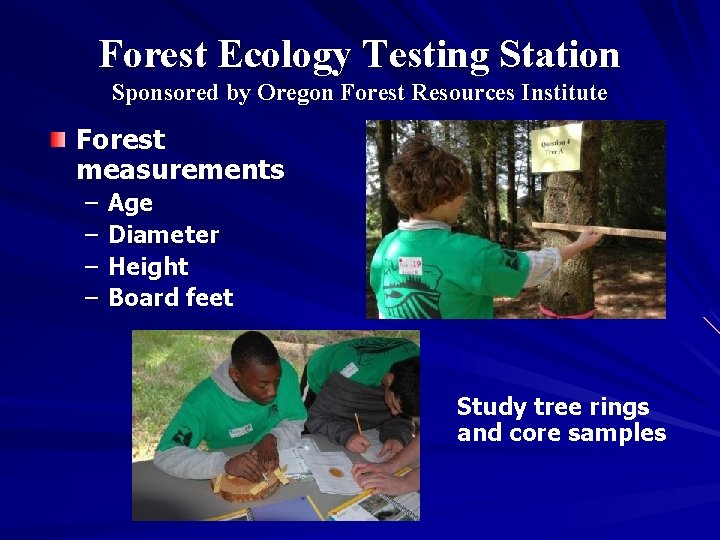 Forest Ecology Testing Station Sponsored by Oregon Forest Resources Institute Forest measurements – –