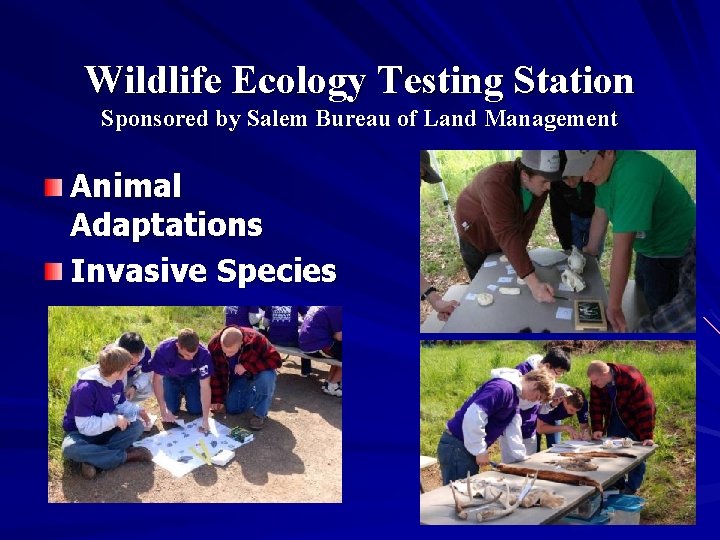 Wildlife Ecology Testing Station Sponsored by Salem Bureau of Land Management Animal Adaptations Invasive