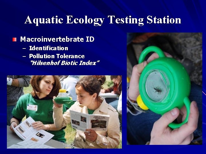 Aquatic Ecology Testing Station Macroinvertebrate ID – Identification – Pollution Tolerance “Hilsenhof Biotic Index”