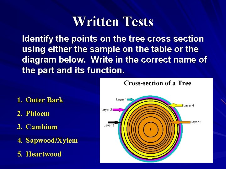 Written Tests Identify the points on the tree cross section using either the sample