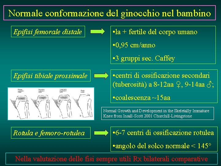 Normale conformazione del ginocchio nel bambino Epifisi femorale distale • la + fertile del