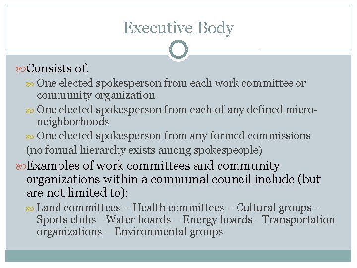 Executive Body Consists of: One elected spokesperson from each work committee or community organization
