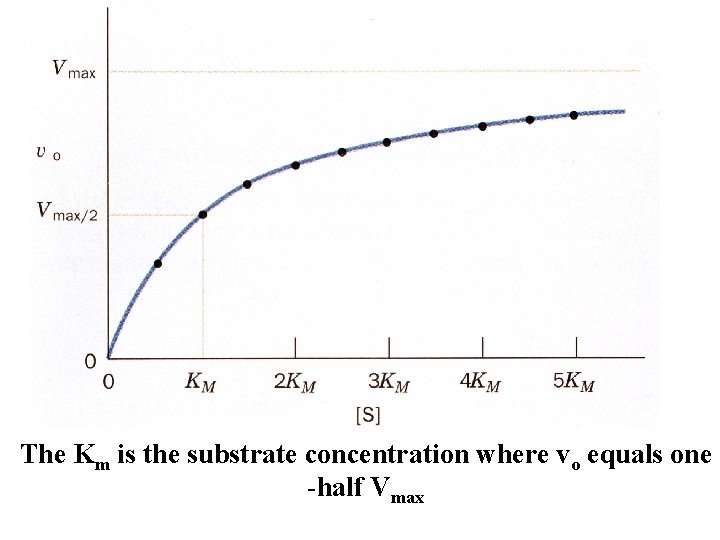The Km is the substrate concentration where vo equals one -half Vmax The Km is the substrate concentration where vo equals one -half Vmax