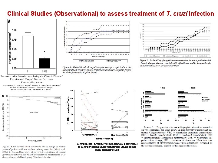 Clinical Studies (Observational) to assess treatment of T. cruzi Infection T. cruzi-specific T lymphocytes