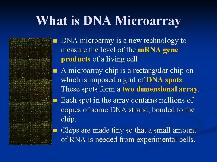 What is DNA Microarray n n DNA microarray is a new technology to measure