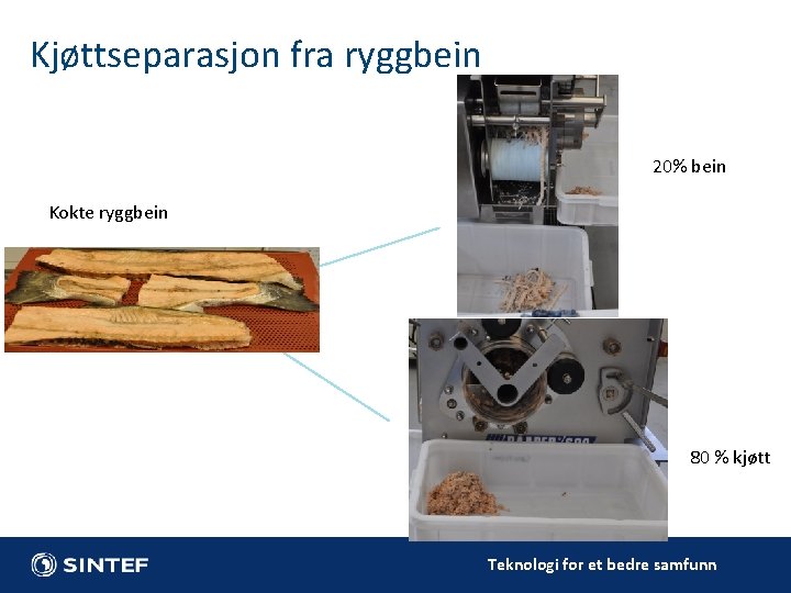 Kjøttseparasjon fra ryggbein 20% bein Kokte ryggbein 80 % kjøtt Teknologi for et bedre