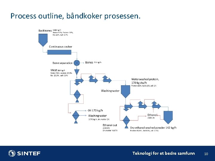 Process outline, båndkoker prosessen. Teknologi for et bedre samfunn 10 