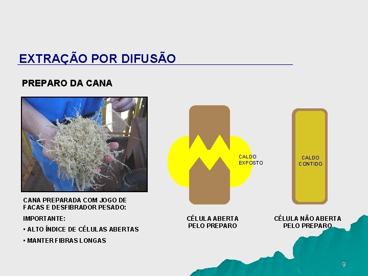 EXTRAÇÃO POR DIFUSÃO PREPARO DA CANA CALDO EXPOSTO CALDO CONTIDO CANA PREPARADA COM JOGO