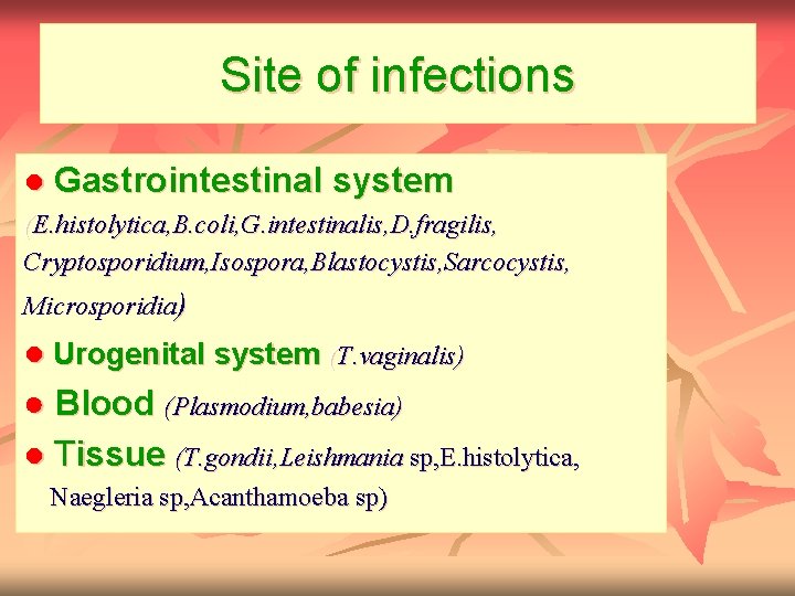Site of infections ● Gastrointestinal system (E. histolytica, B. coli, G. intestinalis, D. fragilis,